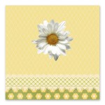 Ανθισμένη Μαργαρίτα