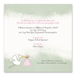 Μικρός Πελαργός με Δώρο