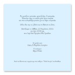 Ζωηρό Αρκουδάκι