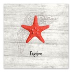 Καλοκαιρινός Κόκκινος Αστερίας