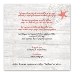 Καλοκαιρινός Κόκκινος Αστερίας