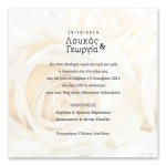 Μοντέρνα Κίτρινα Τριαντάφυλλα