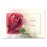 Μοντέρνο Κόκκινο Τριαντάφυλλο