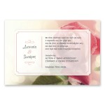 Μοντέρνο Κόκκινο Τριαντάφυλλο