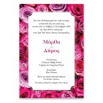 Μοντέρνα Ροζ Τριαντάφυλλα