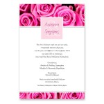 Μοντέρνα Ροζ  Τριαντάφυλλα