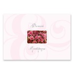 Μοντέρνα Ροζ Τριαντάφυλλα