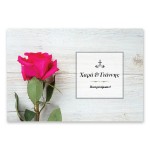 Μοντέρνο Ροζ Τριαντάφυλλο