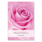 Μοντέρνο Ροζ Τριαντάφυλλο