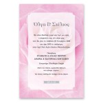 Μοντέρνο Ροζ Τριαντάφυλλο