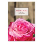 Μοντέρνο Ροζ Τριαντάφυλλο