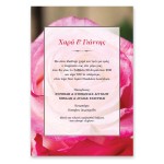 Μοντέρνο Ροζ Τριαντάφυλλο